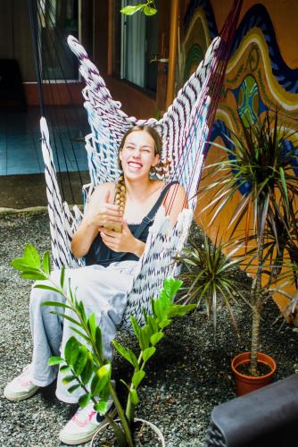 Barrio Pilo Hostel | Alpha Arenal Hostel