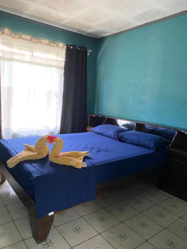 Puerto Jimenez Apartment | Anluka-House2 with Air conditioning