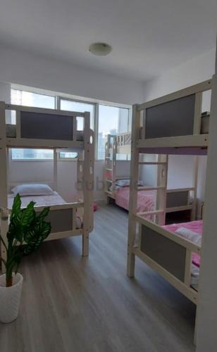 Jumeirah Village Circle Apartment | Bedspace in hostel apartment