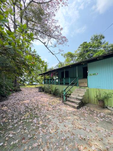 Cahuita Hostel | Casa Mamré