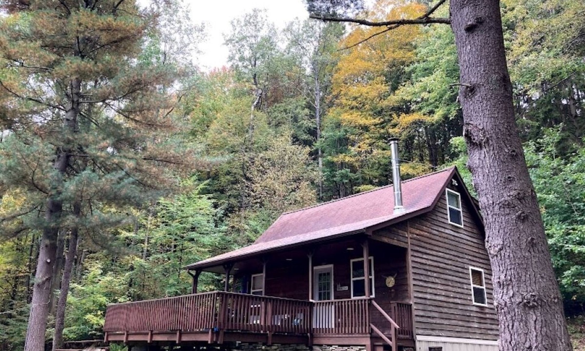Great Valley Cabin | Cozy Cabin in the woods 2 br + 1 loft br, 1 bath. Large deck, beautiful views