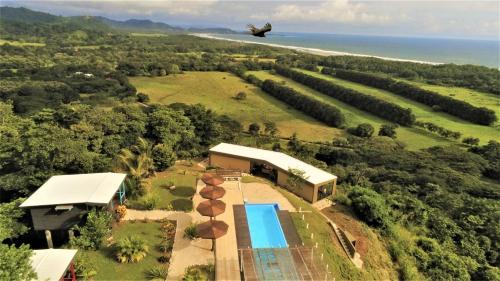 La Colina Pura Vista | Javilla