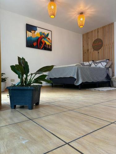Orosi Apartment | La Terraza Orgánica