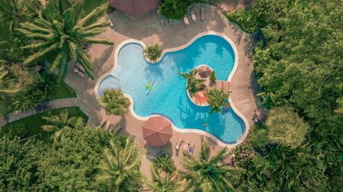 Tortuguero Cabin | Laguna Lodge