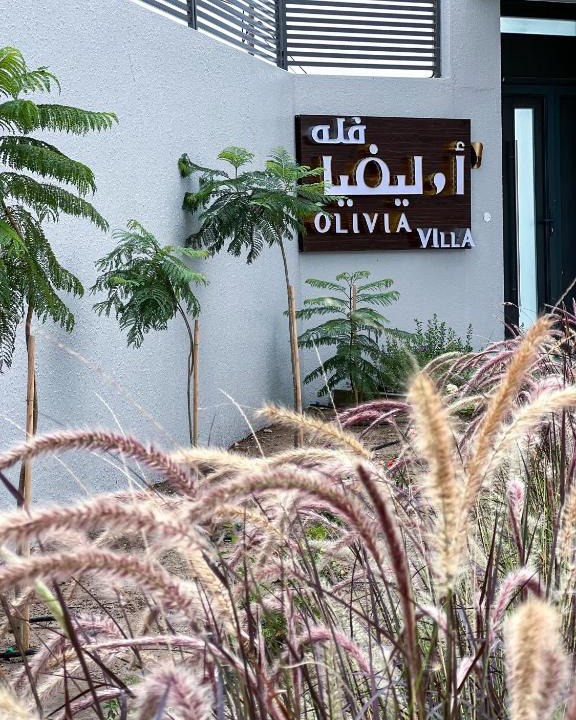 Sayq Ski Chalet | Olivia Chalet فلة أوليفيا