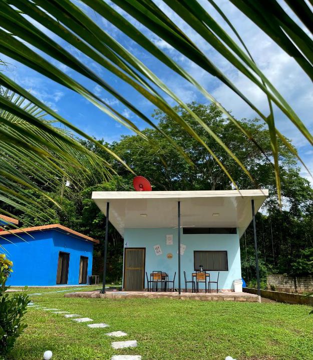 Matapalo House | POSADA MIRADIA