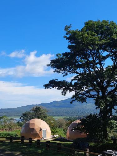 El Millon Other | Pura Vista Glamping