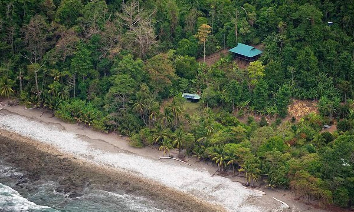 Cabo Matapalo Cabin | Sustainable Home in The Heart of The Osa Peninsula!