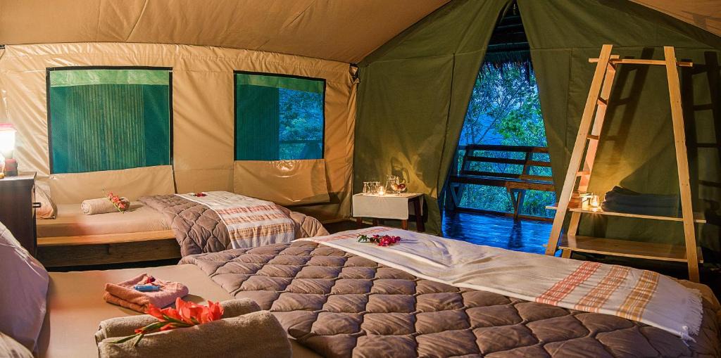 Providencia de Dota Other | Tami Lodge