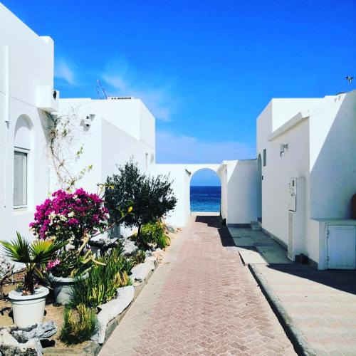 Al-Bustan House | The Blue Gate 2