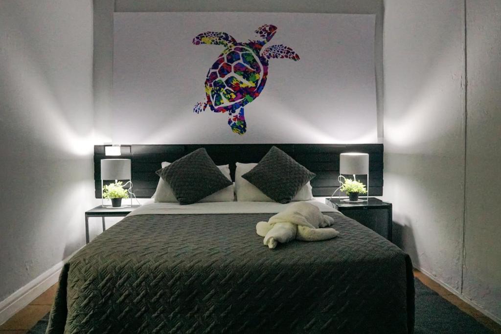 Barrio Dent Hostel | Turtle Saving Hostel