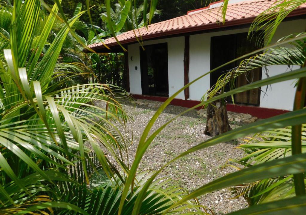 Samara House | Villas jungle 5