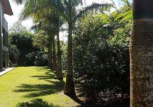 2B/2B IMPRESSIVE LAKE ARENAL, 3 POOLS, FULL KITCHEN