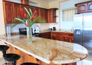 PENTHOUSE in LAKE ARENAL with POOL, FULL KITCHEN