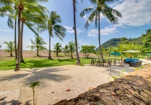 The Palms 101