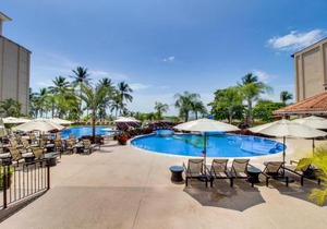 The Palms 101