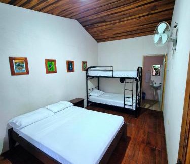 Barrio Pilo Hostel | Alpha Arenal Hostel