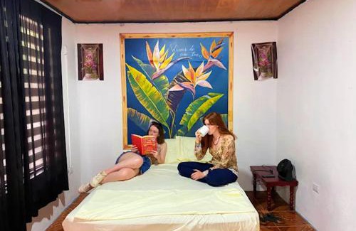 Barrio Pilo Hostel | Blackout Hostel