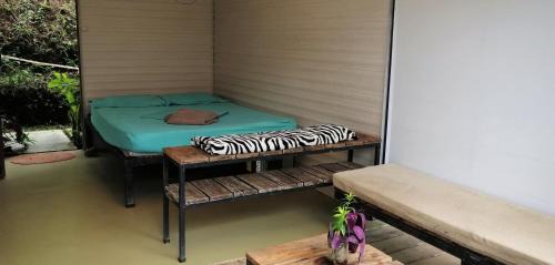 Dos Brazos Hostel | Bolita Trails and Lodging