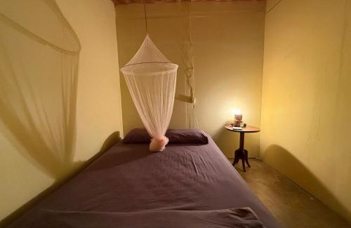Cahuita Hostel | Casa Mamré