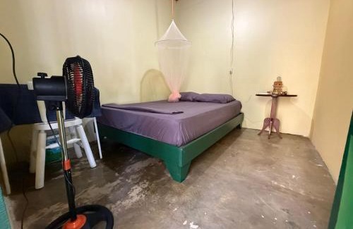 Cahuita Hostel | Casa Mamré