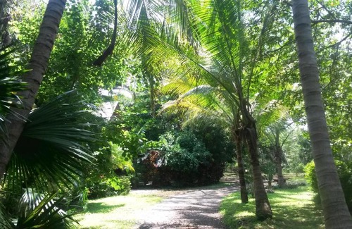 Los Pargos Hostel | Casa Mymy