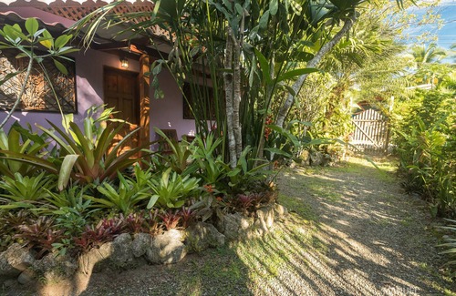 Punta Uva Ski Chalet | Casa Violeta Beachfront 3BR Caribbean Home with A/C