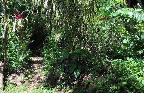 Ballena Hostel | Cascada Verde Eco Lodge & Hostel