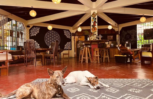 Puerto Viejo de Talamanca Hostel | Hostel ∙ 8 guests