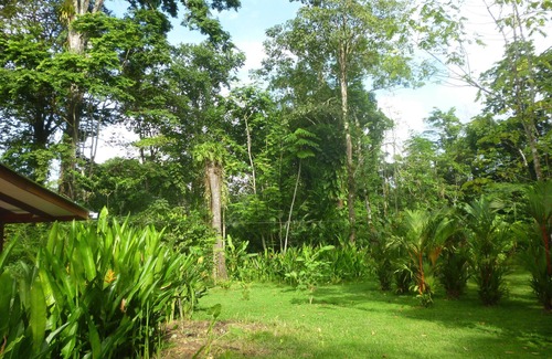 Puerto Viejo de Talamanca House | Los Delfines Lodge Puerto Viejo