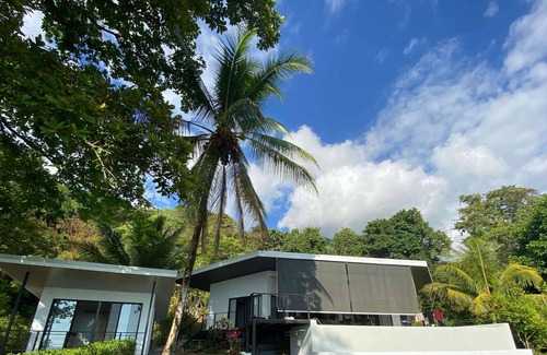Ballena House | Three Suites with Ocean Views and Newly Expanded Pool