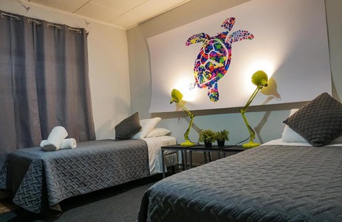 Barrio Dent Hostel | Turtle Saving Hostel