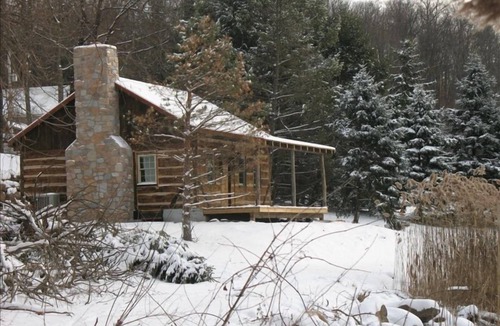 Narvon Cabin | 1800's Restored Log Cabin in Woods - 15 Min. Off Pa Turnpike