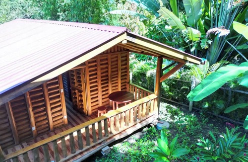 Samara House | Cabaña Arbolito