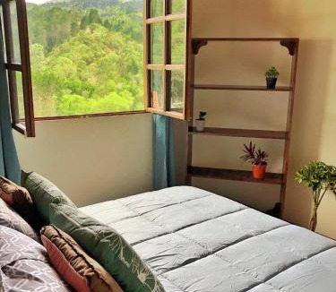 Agua Caliente Apartment | Cabaña Vista Verde