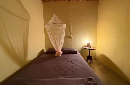 Cahuita Hostel | Casa Mamré