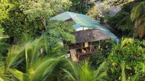 Cahuita Hostel | Casa Mamré