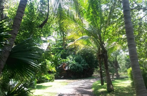 Los Pargos Hostel | Casa Mymy