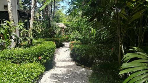 Carmen Apartment | Colibri Apartments - Private kitchen & bathroom - 4 min walk to the Beach!
