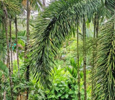 Dominical Hotel | Diuwak