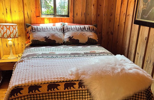 Six Mile Condo | Easy Tiger Cabin at Lake Keowee, near Clemson, SC