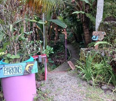 Chiguata House | Gecko Treehouse with Jungle View, Plunge Pool & WiFi