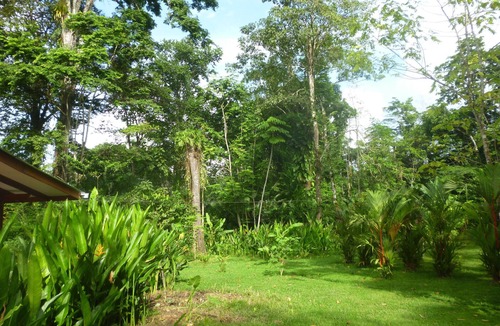 Puerto Viejo de Talamanca House | Los Delfines Lodge Puerto Viejo