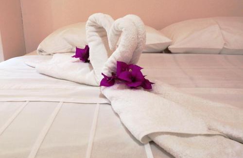 Monteverde Bed & Breakfast | Monte Los Lirios Lodge