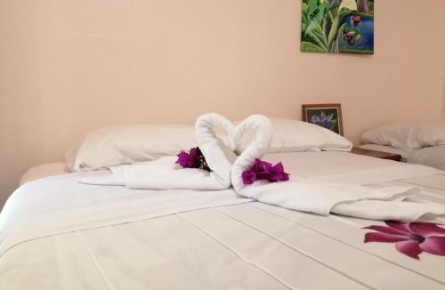 Monteverde Bed & Breakfast | Monte Los Lirios Lodge