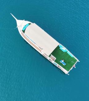 Dibba Boat Rental | Musandam Starlight Dhow Cruise