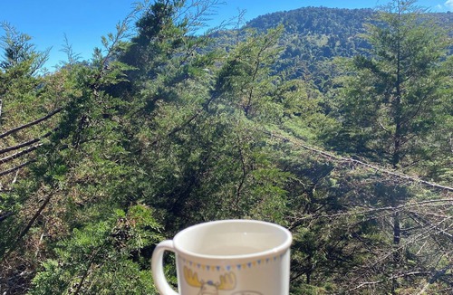 San Isidro Cabin | Naranjo Lodge – Peaceful Cabin Near San Gerardo de Dota, Nature & Birdwatching