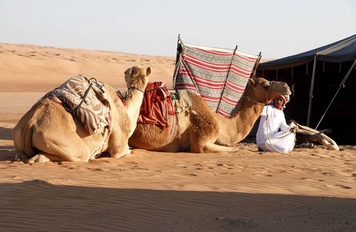 Bidiya RV Rental | Private Desert Bedouin Tent