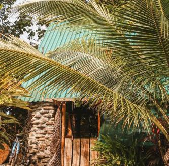 Pavones Apartment | Rustic Cabin in Pavones surf brake