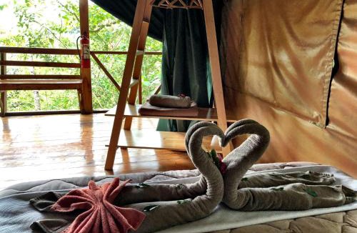 Providencia de Dota Other | Tami Lodge